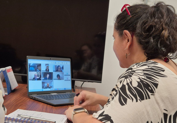 Sinditamaraty se reúne com o MGI para tratar sobre a situação dos servidores PCC/PGPE na Lei 15.141/2025