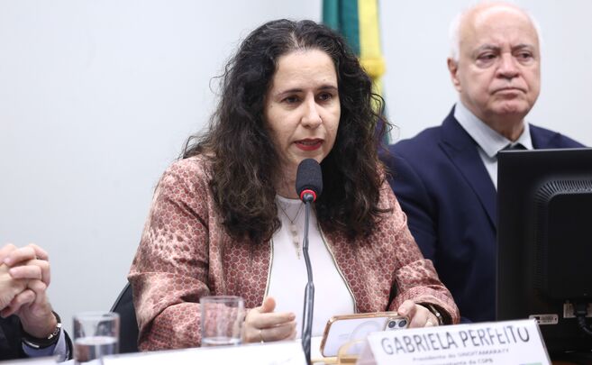 Sinditamaraty participa de debate sobre regulamentação do teletrabalho no serviço público