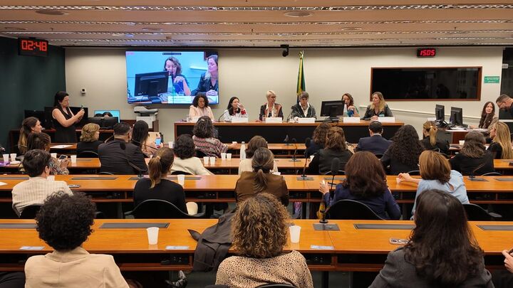 Sinditamaraty une forças na Câmara em debate pelo Dia da Valorização das Mulheres na Infraestrutura