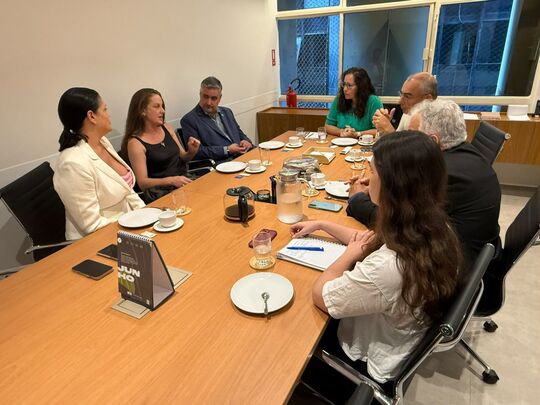 Sinditamaraty e Sindireceita discutem proposta para destinação de recursos do Imposto de Renda aos Fundos dos Direitos da Mulher